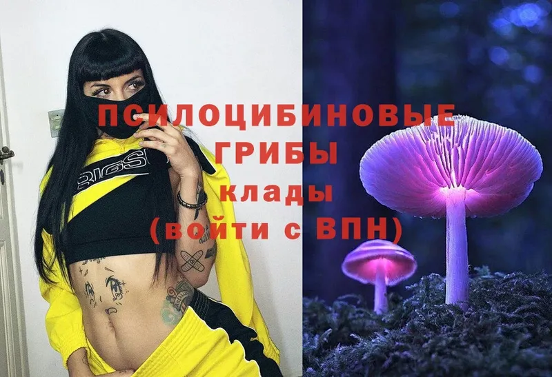 Псилоцибиновые грибы MAGIC MUSHROOMS  omg   Кириши 